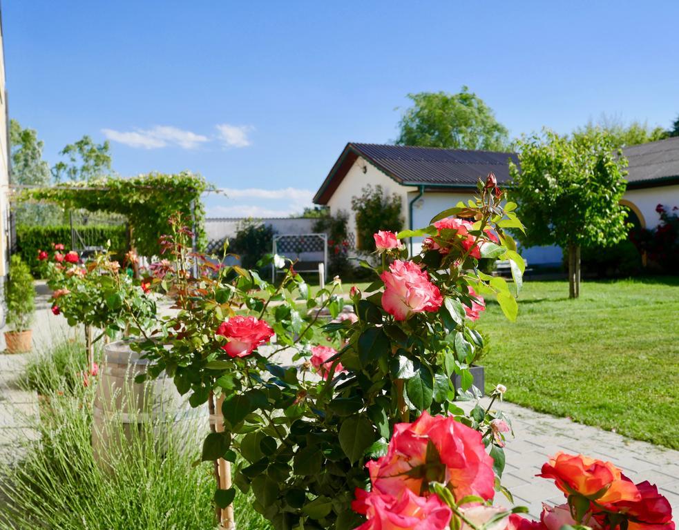 Pension Seepanorama Weiden am See Exterior photo